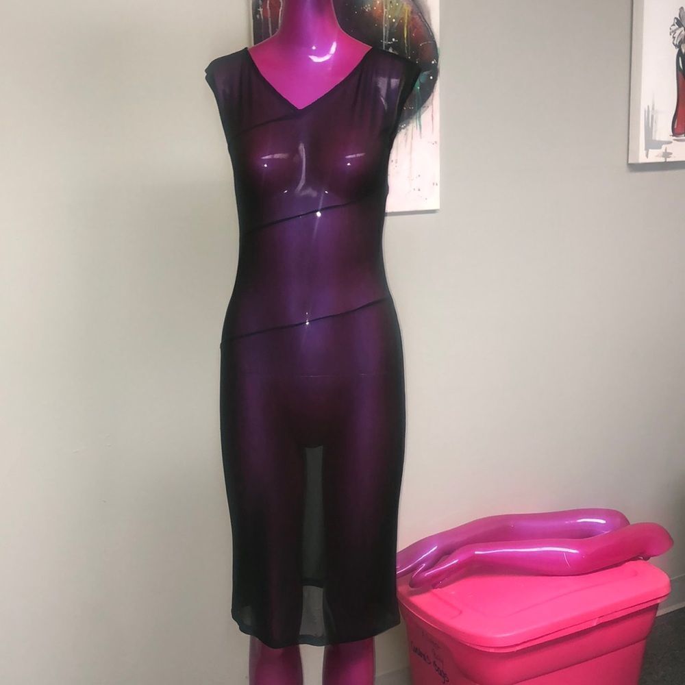 Helen Wang sheer dress